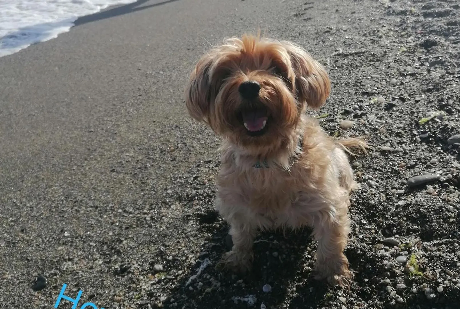 Appartamento Sts-2 Pet Friendly Playa Torre Del Mar